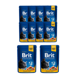 BRIT PREMIUM CAT Łosoś i Pstrąg w sosie 10x100g 10 saszetek